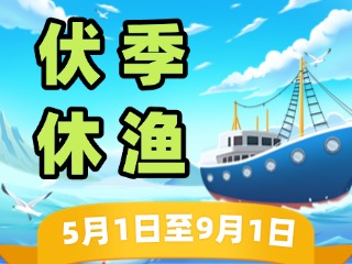 2025年威海伏季休漁政策發(fā)布！